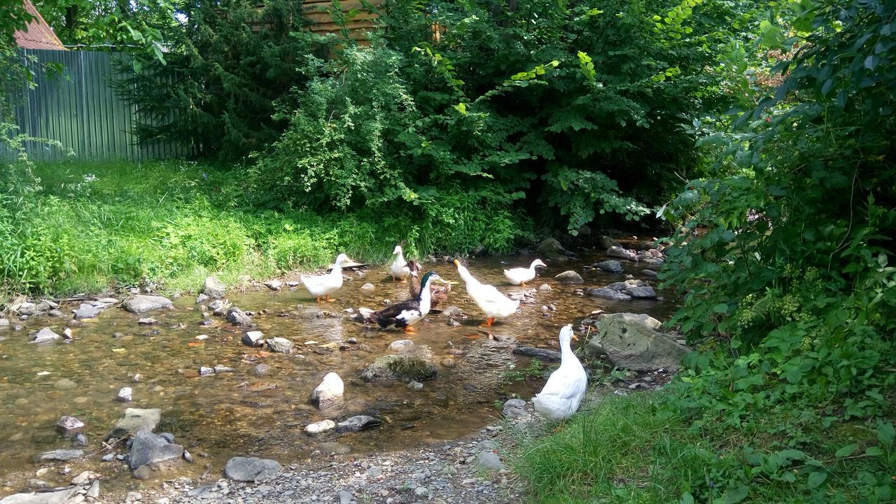 Ecolodge Taracújfalu Kültér fotó